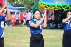 pic253