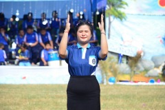 pic263