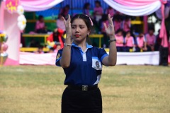 pic264