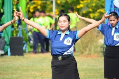 pic266
