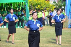 pic291