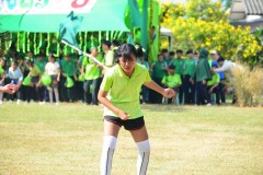 pic355