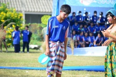 pic366