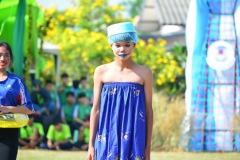 pic379