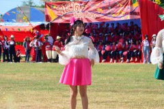pic394