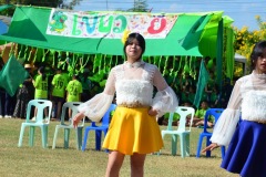 pic395