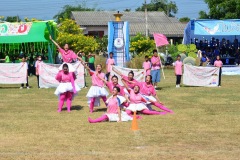pic464