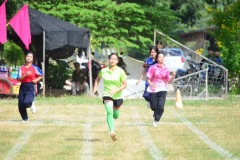 pic549