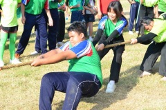 pic582