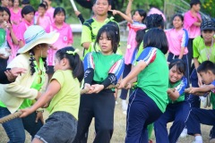 pic594