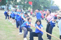 pic601