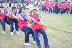 pic607