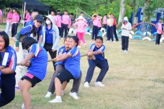 pic608