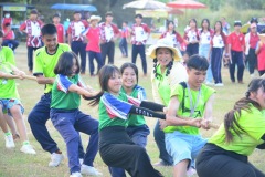 pic619