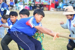 pic622