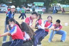 pic624