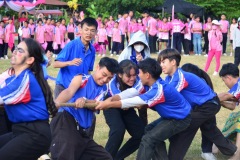 pic631