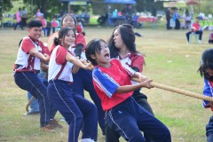 pic632