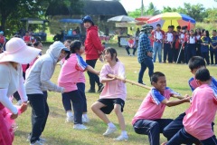 pic638