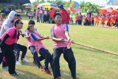 pic639