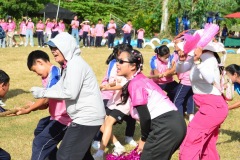 pic642