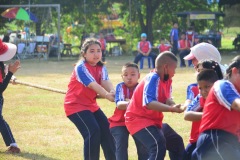 pic643