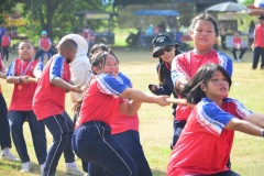 pic644
