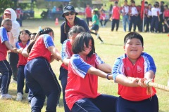 pic645