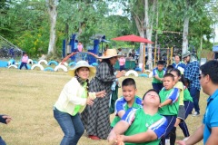 pic649