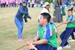 pic652