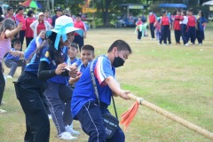 pic653