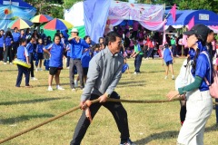 pic654