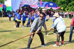 pic655