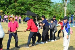 pic657