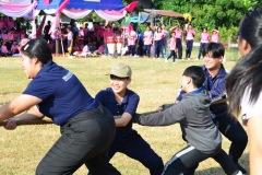 pic658