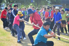 pic663