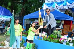 pic668