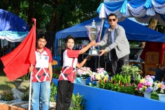 pic672
