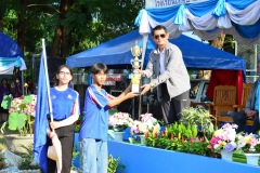 pic674