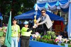 pic675