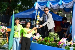 pic676