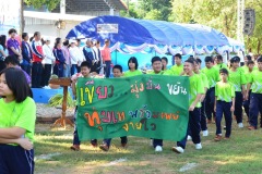 image10343