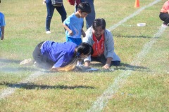 image10503