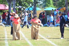 image10517