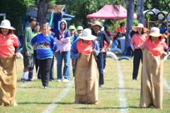 image10519