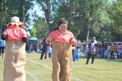 image10523