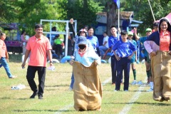 image10534