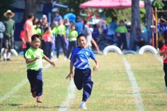 image10627