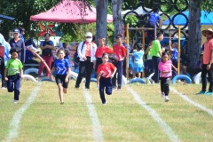 image10631
