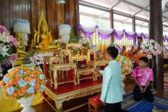 IMG_137_resize